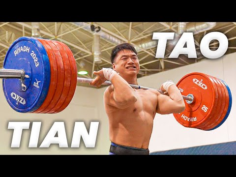 Видео: Тянь Тао: преодолевая невзгоды и бросая вызов судьбе