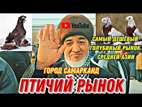 Видео: Птичий рынок,базар город Самарканд Узбекистан. Самый дешёвый, голубиный рынок - средней Азии. #Обзор