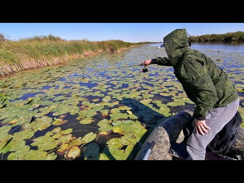 Видео: ЩУКА НА МАКАЛКУ   утопил спининг  ДВУХДНЕВНЫЙ ВЫЕЗД В десяти минутах
