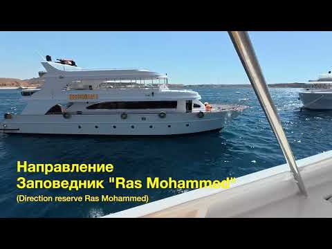 Видео: Дайвинг в заповеднике Ras Mohammed / Diving In The Reserve Ras Mohammed