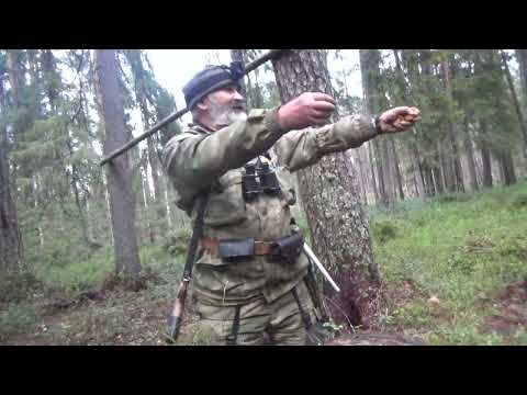 Видео: Сапоги, собака, тайга #14