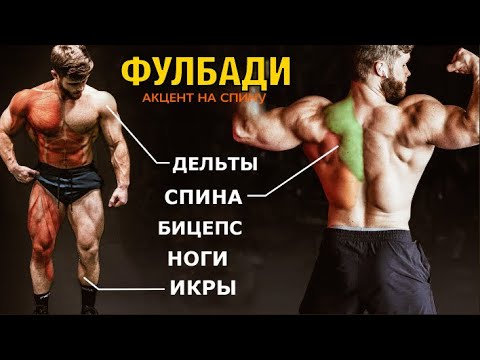 Видео: Самая ЭФФЕКТИВНАЯ тренировка ФУЛБАДИ, с акцентом на СПИНУ (3 эпизод). | Джефф Ниппард