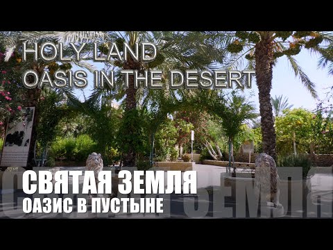 Видео: Святая Земля | Оазис в пустыне | Монастырь преподобного Герасима Иорданского