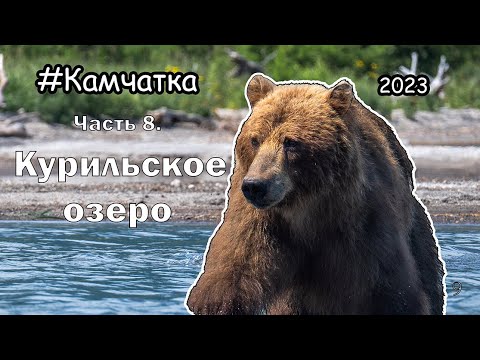 Видео: Курильское озеро. Недосбывшаяся мечта...