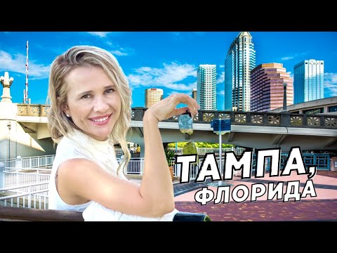 Видео: Самый лучший город в мире - ТАМПА Флорида.