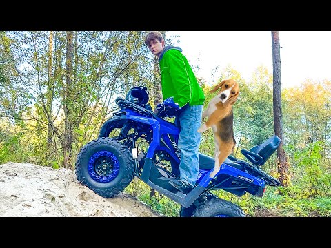 Видео: СОБАКЕ НУЖЕН КВАДРОЦИКЛ. ШЕЛОК НЕ ХОЧЕТ ХОДИТЬ ПЕШКОМ. БРОС ШОУ ПЕТ
