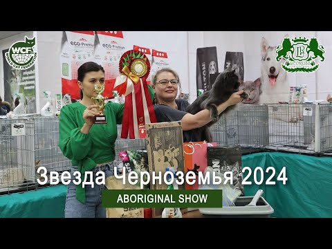 Видео: Звезда Черноземья 2024 | Ринг аборигенных пород