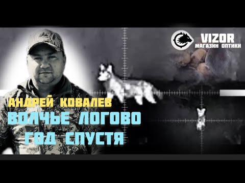 Видео: Логово год спустя. Матерый привел волчицу. Уничтожение волчьей стаи.