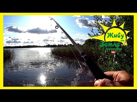 Видео: РЫБАЛКА  3 дня . ДОНКИ. Спиннинг. Отличная погода, еда на природе и качественный отдых.