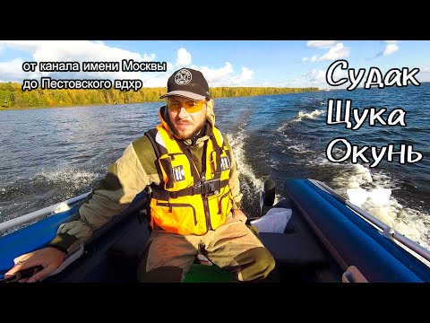 Видео: Судак и щука на канале имени Москвы| Рыбалка с лодки| Окунь на Пестовском вдхр| Спиннинг осенью 2023