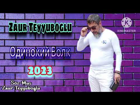 Видео: Zaur Teyyuboglu _ Одинокий Волк_2023  mp3