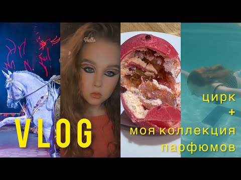 Видео: VLOG/ ЦИРК НИКУЛИНА "ПОЧТИ СЕРЬЁЗНО" + МОЯ КОЛЛЕКЦИЯ ПАРФЮМЕРИИ