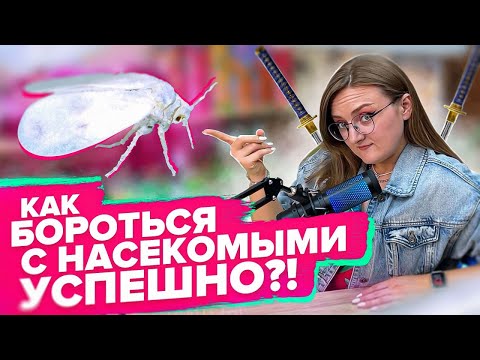 Видео: КАК ПОБОРОТЬСЯ С БЕЛОКРЫЛКОЙ, ТЛЕЙ НАВСЕГДА?!