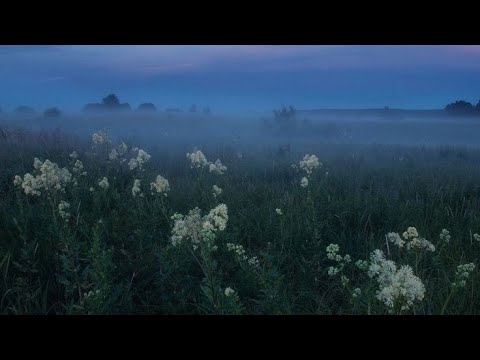 Видео: спокойный вечерний плейлист #5