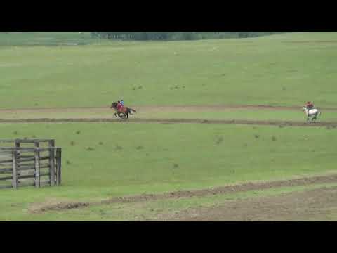 Видео: Открытие скакового сезона 2021 с.Ело 4800м