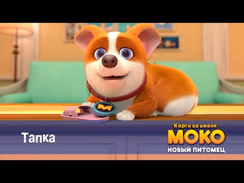 Видео: Корги по имени Моко. Новый питомец - Серия 15.Тапка - Премьера мультфильма