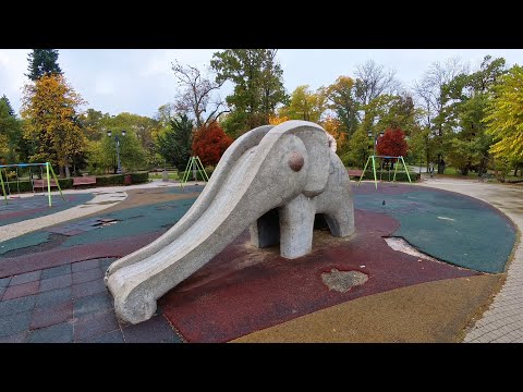 Видео: Седмица 1 (+ EGT Morning Run)