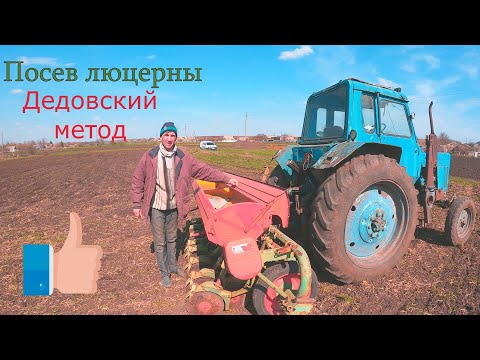 Видео: Посев люцерны с ячменем. Будет корм ...