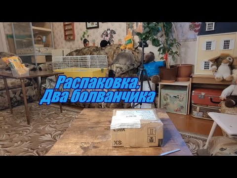 Видео: Распаковка. Два болванчика