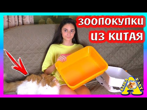 Видео: ЗООПОКУПКИ из КИТАЯ / РАСПАКОВКА Newchic / Alisa Easy Pets