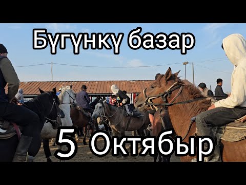 Видео: Бүгүнкү базар 5 октября 2025 #Жалальабад #базаркоргон #horse #атбазар #жылкыбазар #арабскиелошади 