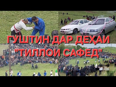 Видео: Гуштин дар дехаи "Тиллои сафед"-и Чамоати дехоти Гулистони шахри Вахдат