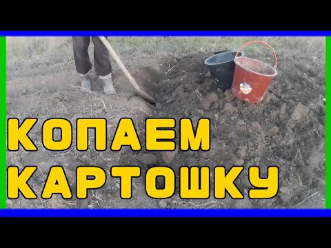 Видео: Жизнь в Деревне #11🏡 | Докапываем картошку 🥔 | последние теплые ДНИ 🍁.