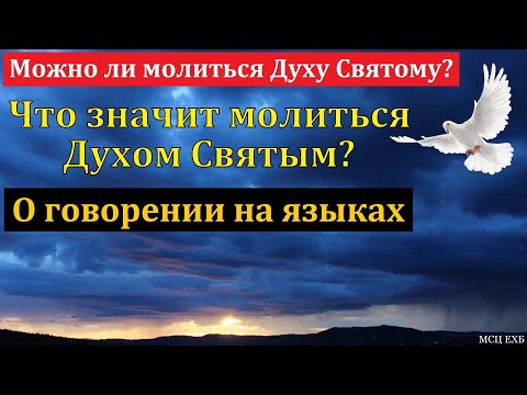 Видео: Вопросы о Духе Святом. П. Е. Мирау. МСЦ ЕХБ