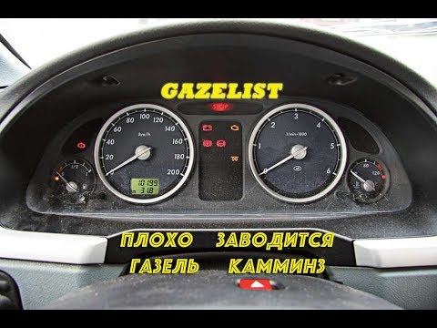 Видео: Плохо заводится на холодную газель камминз.
