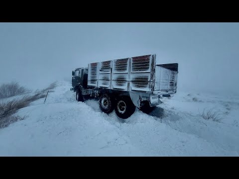 Видео: Попал в буран! Через перемёты без гура и переднего моста! Камаз 4310. Экстремальный шоферизм#4