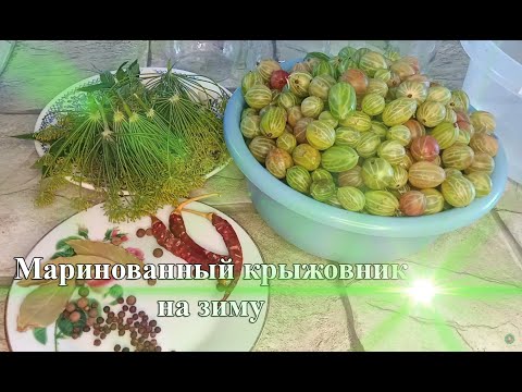 Видео: Крыжовник маринованный  вкусно на зиму в гостях у Зины