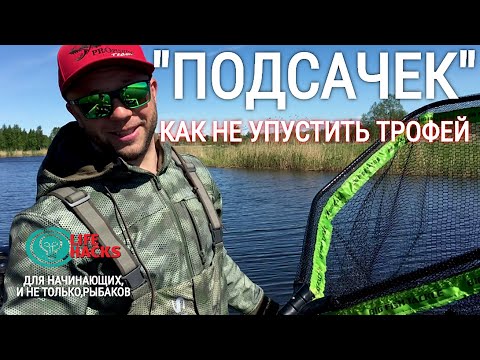 Видео: "ПОДСАЧЕК" в трофейной рыбалке! "ЛАЙФХАКИ" из опыта.