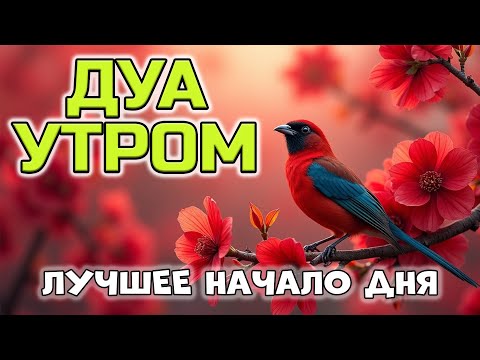 Видео: НАЧНИ ДЕНЬ С СИЛЬНОГО ДУА УТРОМ! 🤲☀️