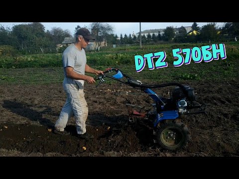 Видео: Мотоблок DTZ 570БН: копка картофеля по мокрой земле на резиновых колесах