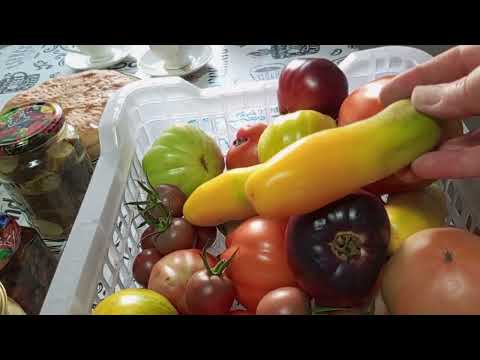 Видео: Про томаты , огурцы и капустный пирог🤗