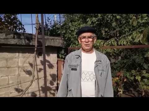 Видео: Обрезка очень слабого двухлетнего куста винограда