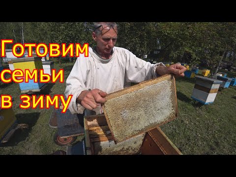 Видео: Комплектуем семьи в зиму