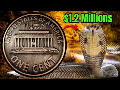 Видео: Повезёт, если у вас есть такой! Суперредкие пенни стоимостью в тысячи!