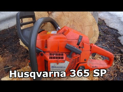 Видео: Специальная кустарна 365  Husqvarna 365 SP