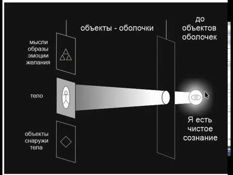 Видео: что такое отождествление