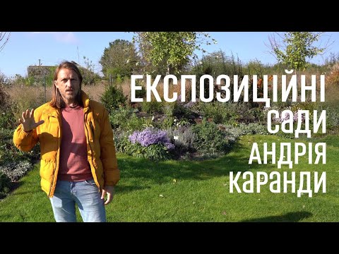 Видео: ЛАНДШАФТНИЙ ДИЗАЙН | ВИСТАВКОВІ САДИ РОЗСАДНИКА