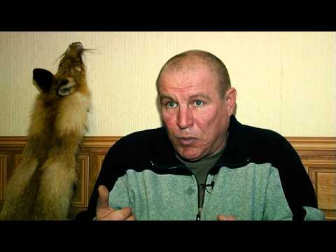 Видео: Мнение охотника