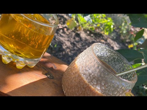 Видео: Сніданок на гойдалці 🫶🌞що росте і що робитиму👋