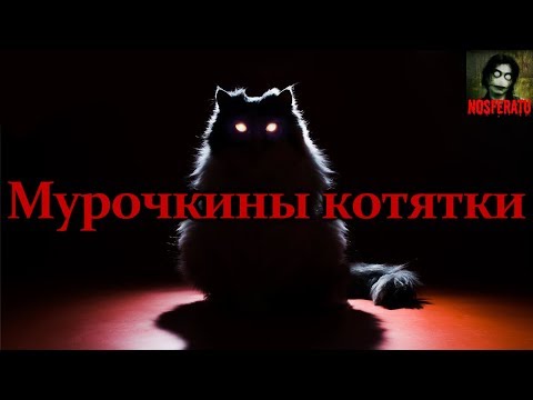 Видео: Истории на ночь - Мурочкины котятки