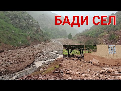 Видео: БАДИ СЕЛ  ДАР НОРАК 12.05.2024