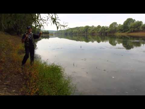 Видео: Со спиннингом на Днестре