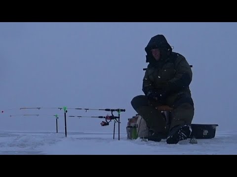 Видео: ловим корюшку сидя. Зеленогорск. Рыбалка 22.02.24.