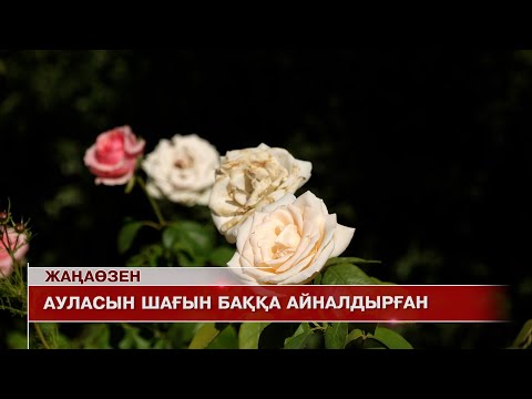 Видео: Жаңаөзен жаңалықтары 17.09.2025 ж.