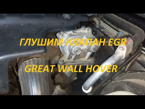 Видео: Глушим клапан EGR Great Wall Hover H5 2.0 TD