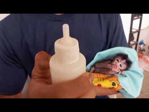 Видео: Рутина утренняя для лечения себя